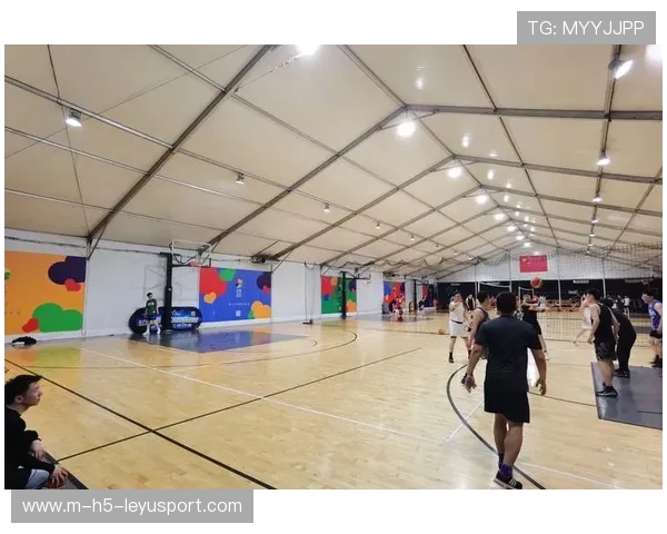 篮球场地在中国城市公共空间中的使用效能,篮球场是公共场合吗